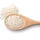 쌀강아지 이미지