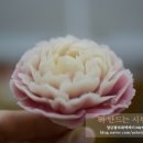 시루엘