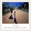 사화공원 | [창원 사화공원] 도심 속 물놀이터와 야간 산책로