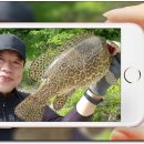 시즌낚시