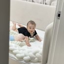 레이디가구 레브 가드 데이베드 후기 내돈내산