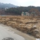 대천농장 이미지
