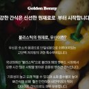 골든베니 이미지