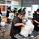 한국애견대학 이미지