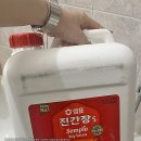 (주)인더라인25(망원1호점) | 🇮🇹 이탈리아 일상 #144 - 2026년 4월 4th