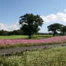 멤버스 골프클럽(실외) 이미지