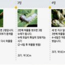 산청군양잠농업협동조합 네이버블로그