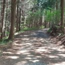 예향천리마실길 5코스 양고살재길 이미지