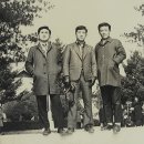 곽해근 Daum카페