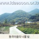 하흑리 | 대순진리회 - 『상제님의 발자취를 찾아서(35)』