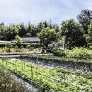 덕봉이네 이미지