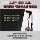아라 휘트니스 이미지