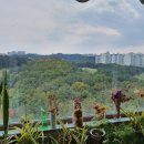 죽전아이파크공인중개사사무소 이미지