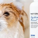 워시플러스 이미지