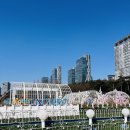 2025 인천 코베 베이비페어 육아용품 후기 송도 센트럴파크 주차