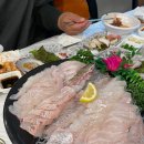군산활어회 이미지