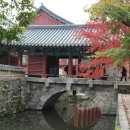 순천-59호 Daum카페