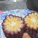 대풍농수산