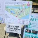 유림문구 | 2026 유성봄꽃전시회 다녀왔어요! 유림공원 주말 나들이