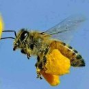 송화농장 이미지