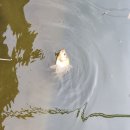 백두산낚시터 이미지