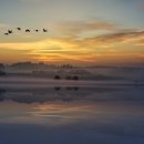 남양3리 이미지