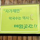 통영제면