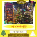 이응다리 남측 화장실 | 세종 빛트리축제2025 후기&gt;기본정보, 포토존, 부스, 주차