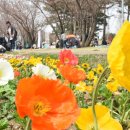 여기산공원 사거리 이미지