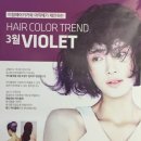 헤어홀릭 이미지