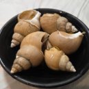 엄지점빵 | 대구 빵게 맛집 또 가고 싶은 대신동 해산물 멍게네점빵