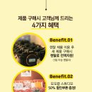 모도랩 이미지