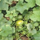 천번공인중개사사무소 이미지