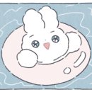 둘리애견 이미지