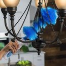 오리엔탈 이미지