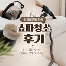 명품청소 - 10549 | 30주차 임산부의 출산 준비! 명품클린비치움 쇼파 청소 대만족 후기