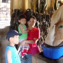 석준농장 이미지