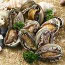 청정영어조합법인 이미지