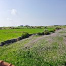 올레청보리민박 이미지