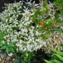 이색체험마을 이미지