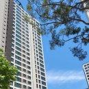 중앙동116 이미지