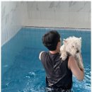 더블루네스 이미지