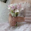 비디오션 | [공지] W12. Happy Wedding 💕 (여수 디오션 본식후기)
