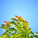 한서한의원 이미지