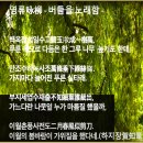 48. 故事成語고사성어 365 /태산불양토양(泰山不讓土壤), 하해불택세류(河海不擇細流) 이미지