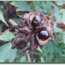 수일여자중학교 이미지