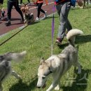 서정전문정비 이미지