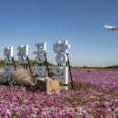 인천국제공항 하늘정원 내 이미지