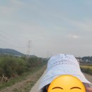 벙거진