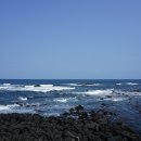 제주기억 이미지